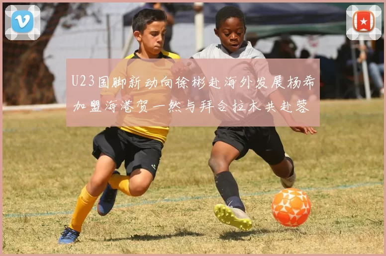 U23国脚新动向徐彬赴海外发展杨希加盟海港贺一然与拜合拉木共赴蓉城