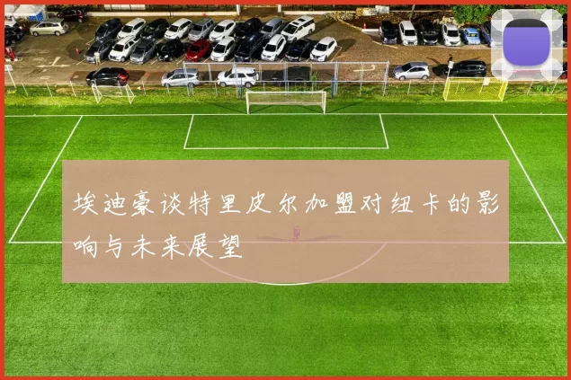 埃迪豪谈特里皮尔加盟对纽卡的影响与未来展望